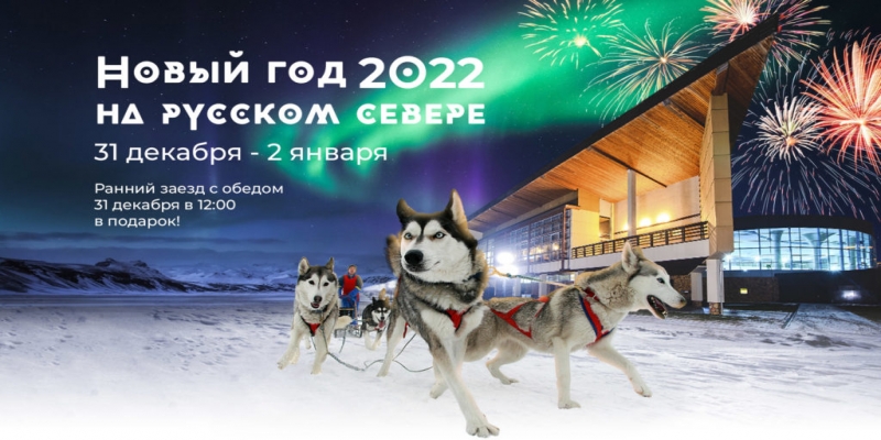 Чайка 2022